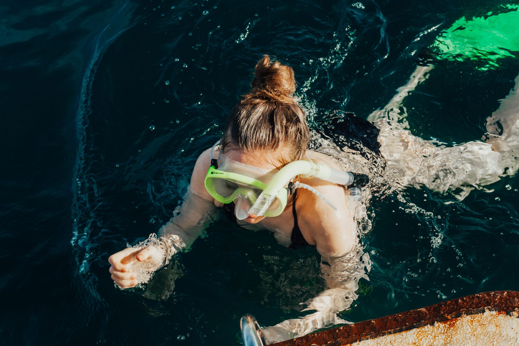Snorkelling at the Bay of Islands