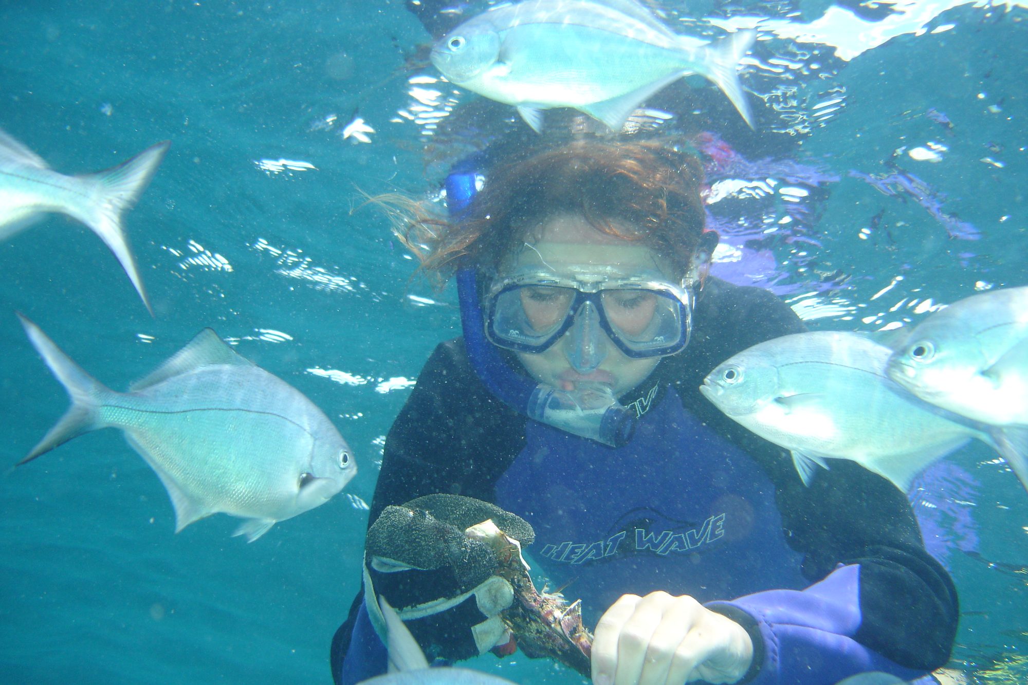 Aquatic Experience in the Bay of Islands
