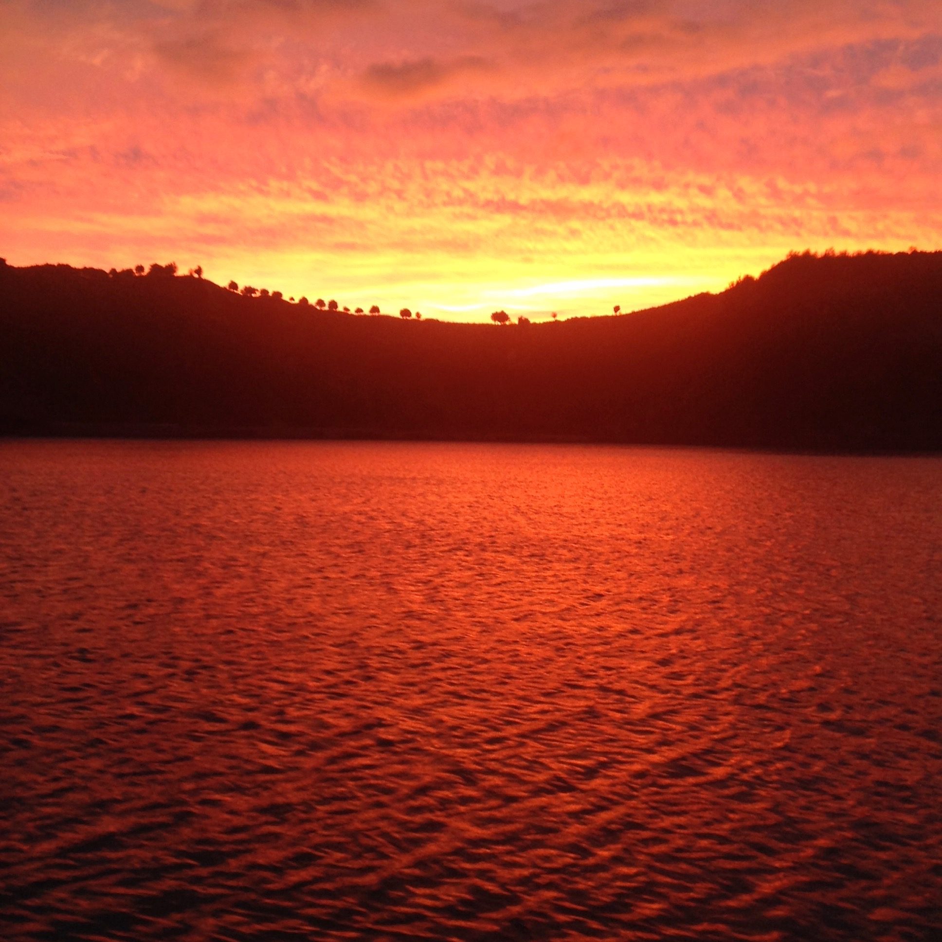 Winter cruises in the Bay of Islands witnessing the wonders