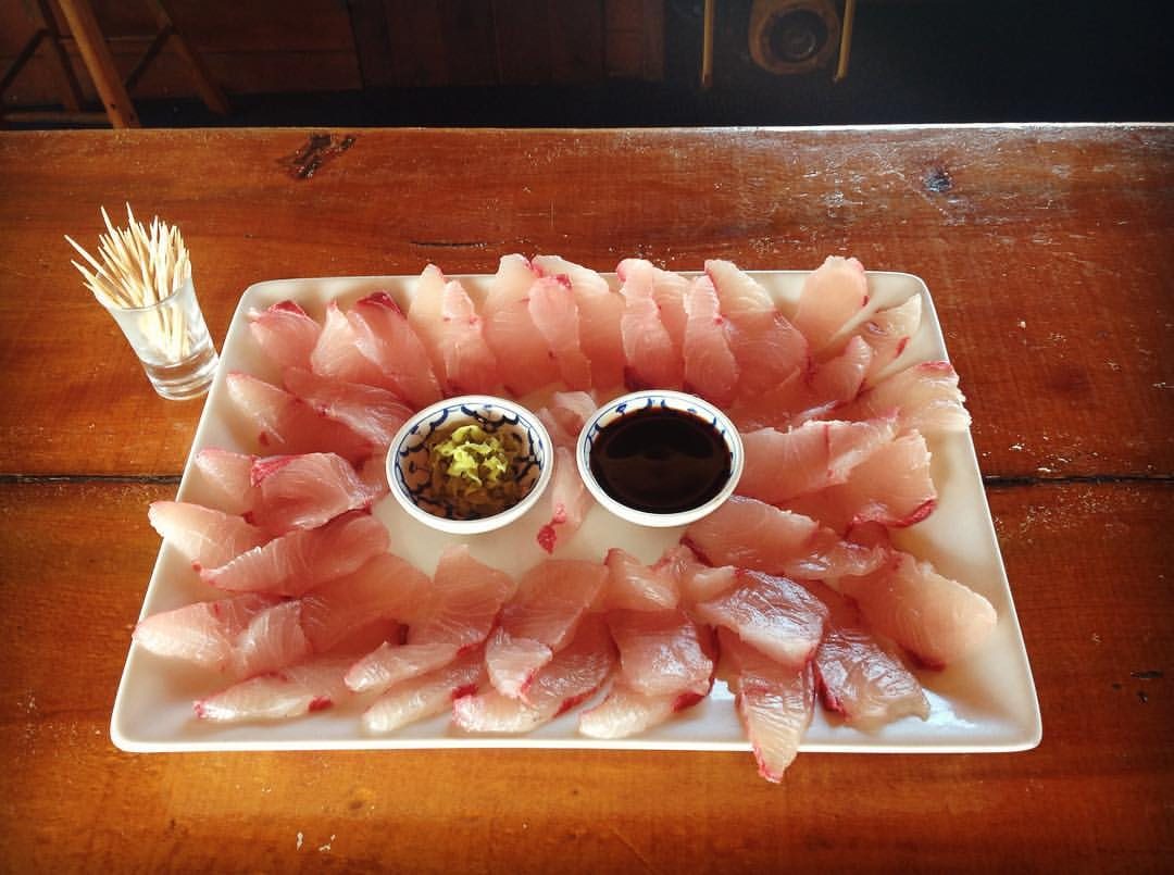 What you need to know about New Zealand's Kingfish